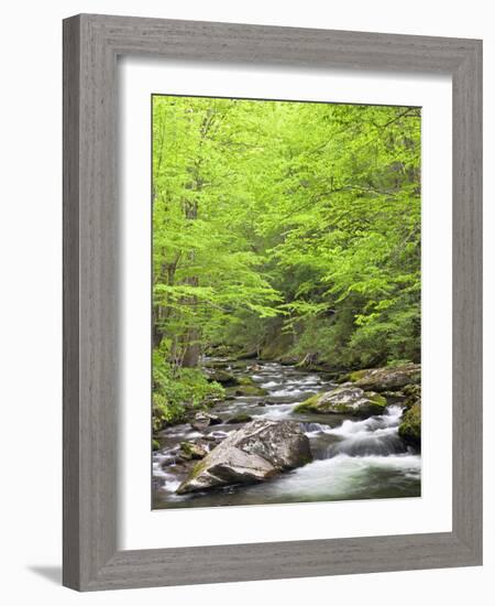 Mountain Stream, Great Smoky Mountains National Park, North Carolina, Usa-Adam Jones-Framed Photographic Print