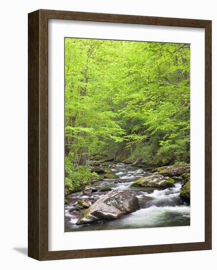 Mountain Stream, Great Smoky Mountains National Park, North Carolina, Usa-Adam Jones-Framed Photographic Print