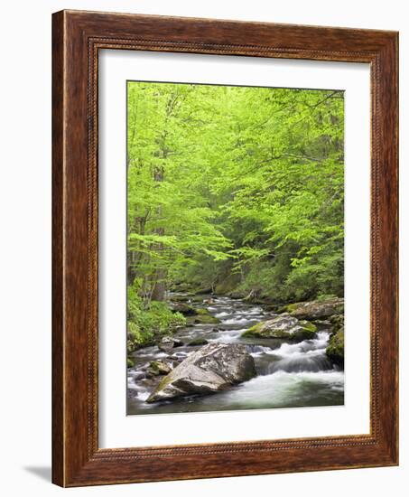 Mountain Stream, Great Smoky Mountains National Park, North Carolina, Usa-Adam Jones-Framed Photographic Print