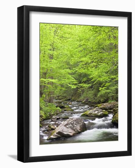 Mountain Stream, Great Smoky Mountains National Park, North Carolina, Usa-Adam Jones-Framed Photographic Print