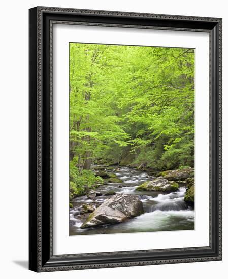 Mountain Stream, Great Smoky Mountains National Park, North Carolina, Usa-Adam Jones-Framed Photographic Print