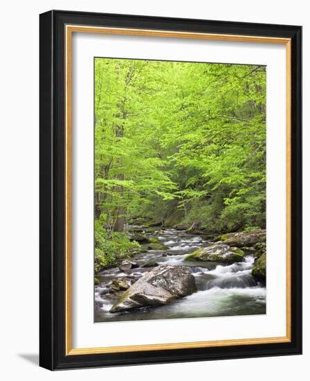 Mountain Stream, Great Smoky Mountains National Park, North Carolina, Usa-Adam Jones-Framed Photographic Print