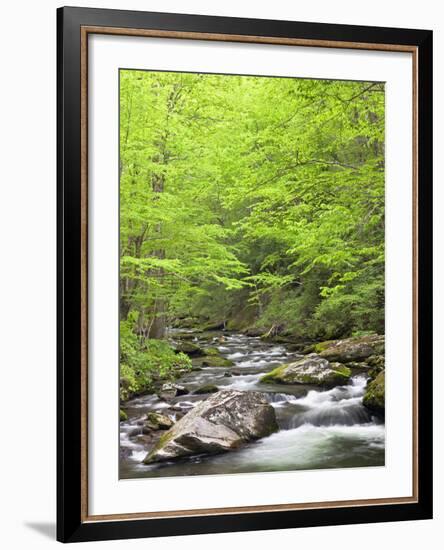 Mountain Stream, Great Smoky Mountains National Park, North Carolina, Usa-Adam Jones-Framed Photographic Print