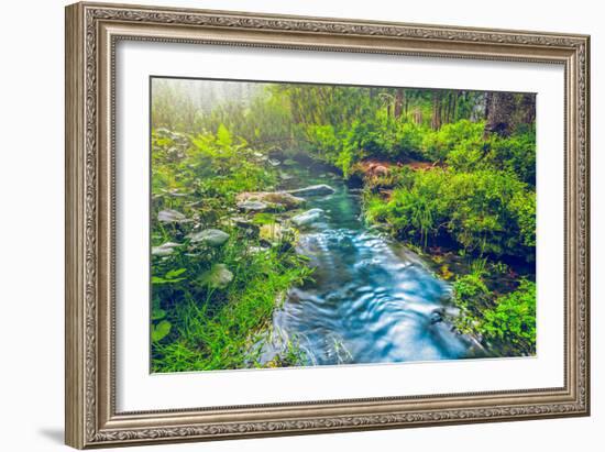 Mountain Stream in Green Forest. Carpathians, Ukraine-goinyk-Framed Photographic Print