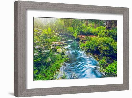 Mountain Stream in Green Forest. Carpathians, Ukraine-goinyk-Framed Photographic Print