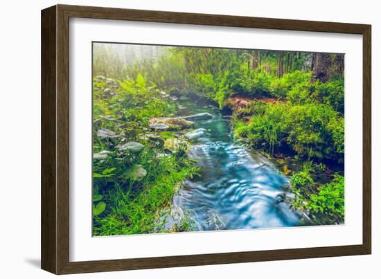 Mountain Stream in Green Forest. Carpathians, Ukraine-goinyk-Framed Photographic Print