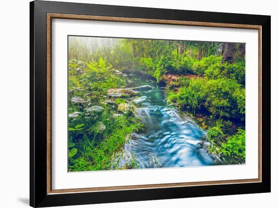 Mountain Stream in Green Forest. Carpathians, Ukraine-goinyk-Framed Photographic Print