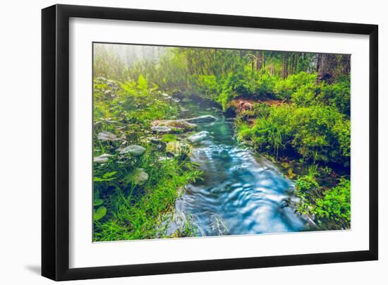 Mountain Stream in Green Forest. Carpathians, Ukraine-goinyk-Framed Photographic Print