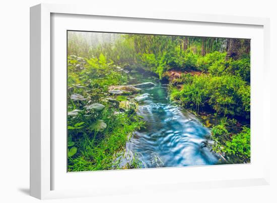 Mountain Stream in Green Forest. Carpathians, Ukraine-goinyk-Framed Photographic Print