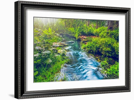 Mountain Stream in Green Forest. Carpathians, Ukraine-goinyk-Framed Photographic Print