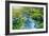 Mountain Stream in Green Forest. Carpathians, Ukraine-goinyk-Framed Photographic Print