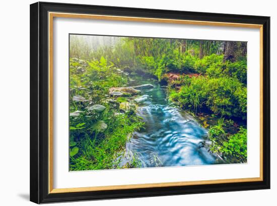 Mountain Stream in Green Forest. Carpathians, Ukraine-goinyk-Framed Photographic Print