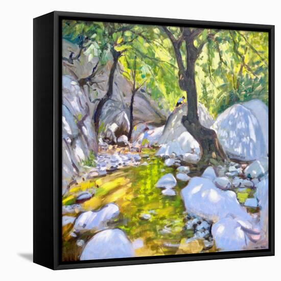 Mountain stream,Lefkas,Greece, 2009-Andrew Macara-Framed Premier Image Canvas