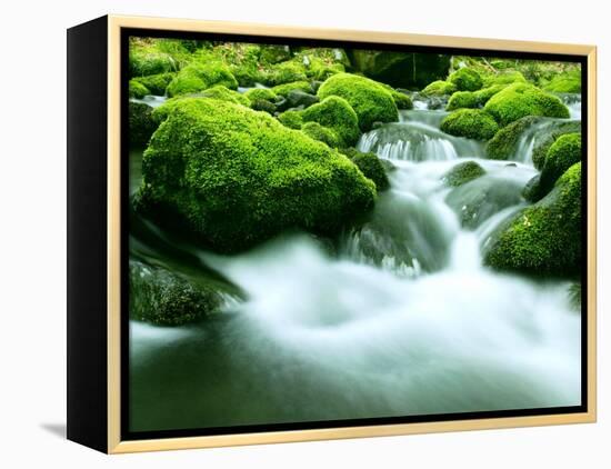 Mountain Stream-null-Framed Premier Image Canvas