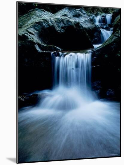 Mountain Stream-null-Mounted Photographic Print