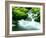 Mountain Stream-null-Framed Photographic Print