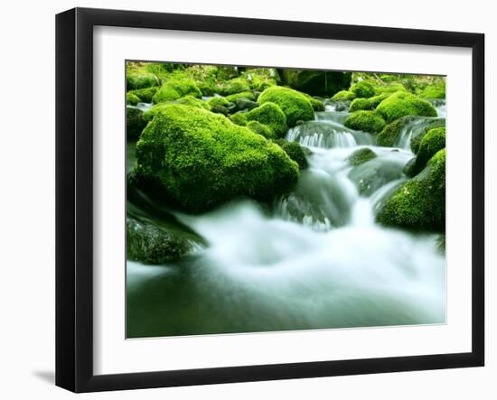 Mountain Stream-null-Framed Photographic Print