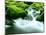 Mountain Stream-null-Mounted Photographic Print