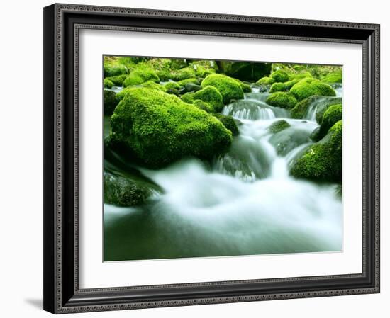 Mountain Stream-null-Framed Photographic Print