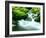 Mountain Stream-null-Framed Photographic Print