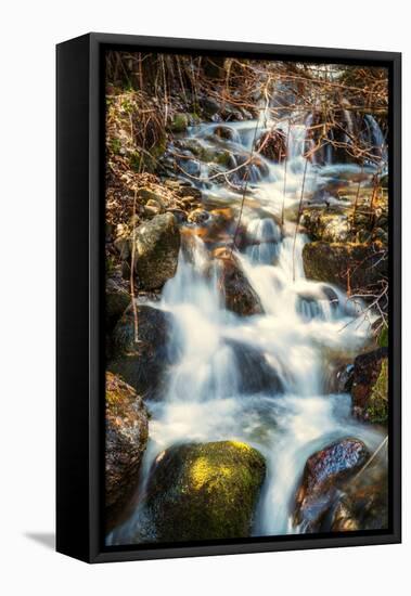 Mountain Stream-Beate Margraf-Framed Premier Image Canvas