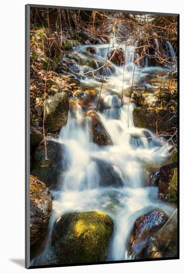 Mountain Stream-Beate Margraf-Mounted Photographic Print