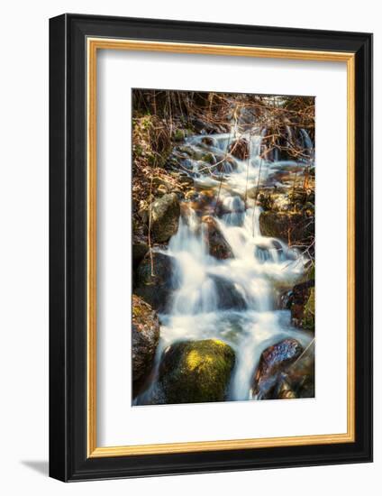 Mountain Stream-Beate Margraf-Framed Photographic Print