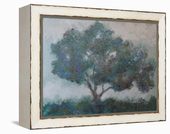 Mountain Top Tree-Joseph Marshal Foster-Framed Stretched Canvas