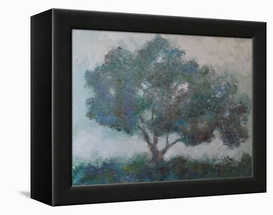 Mountain Top Tree-Joseph Marshal Foster-Framed Stretched Canvas