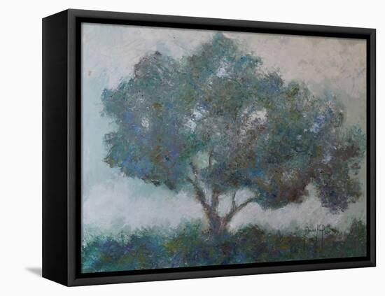 Mountain Top Tree-Joseph Marshal Foster-Framed Stretched Canvas