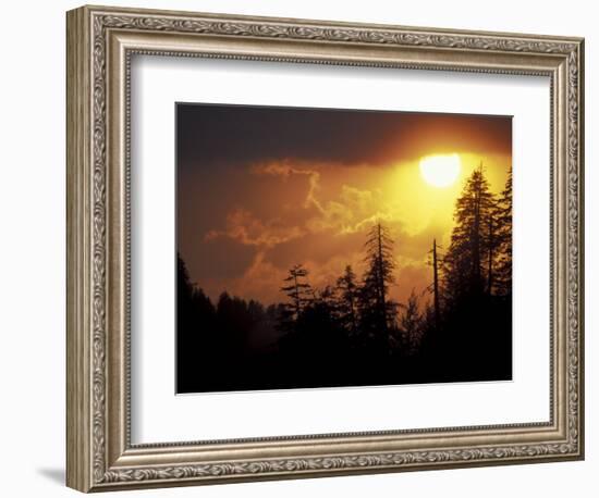 Mountain-top Trees Silhouetted at Sunset, Great Smoky Mountains National Park, Tennessee, USA-Adam Jones-Framed Photographic Print