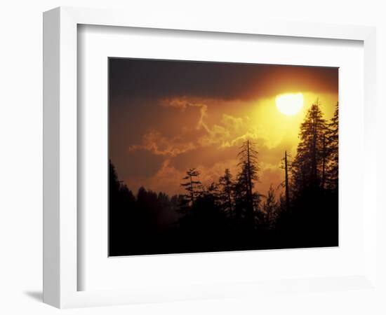 Mountain-top Trees Silhouetted at Sunset, Great Smoky Mountains National Park, Tennessee, USA-Adam Jones-Framed Photographic Print