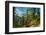 Mountain trail winding through forest, Dolomites, Italy-Konrad Wothe-Framed Photographic Print