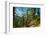 Mountain trail winding through forest, Dolomites, Italy-Konrad Wothe-Framed Photographic Print