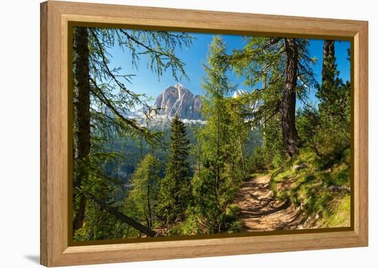 Mountain trail winding through forest, Dolomites, Italy-Konrad Wothe-Framed Premier Image Canvas