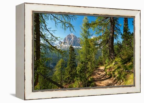 Mountain trail winding through forest, Dolomites, Italy-Konrad Wothe-Framed Premier Image Canvas