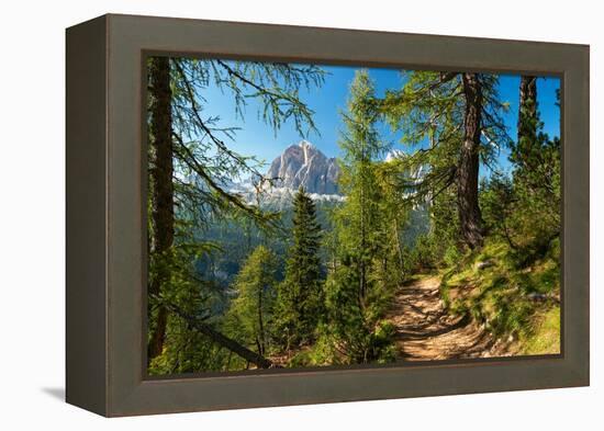 Mountain trail winding through forest, Dolomites, Italy-Konrad Wothe-Framed Premier Image Canvas