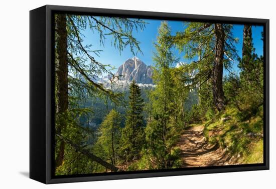 Mountain trail winding through forest, Dolomites, Italy-Konrad Wothe-Framed Premier Image Canvas