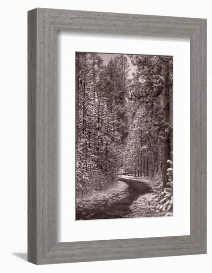 Mountain Trail Yellowstone BW-Steve Gadomski-Framed Photographic Print