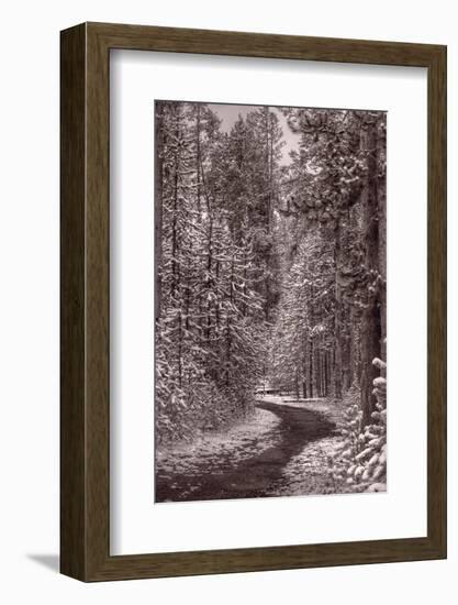 Mountain Trail Yellowstone BW-Steve Gadomski-Framed Photographic Print