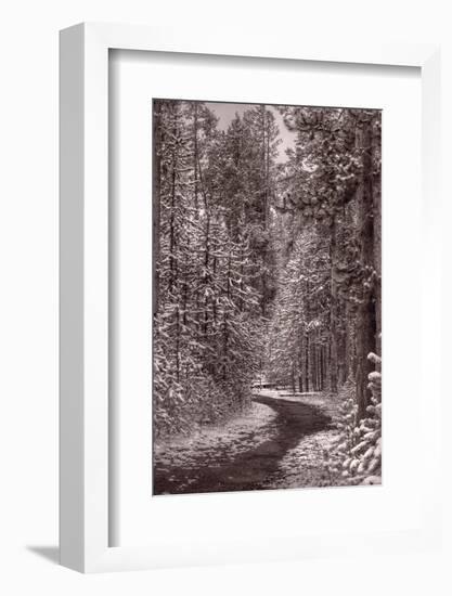 Mountain Trail Yellowstone BW-Steve Gadomski-Framed Photographic Print