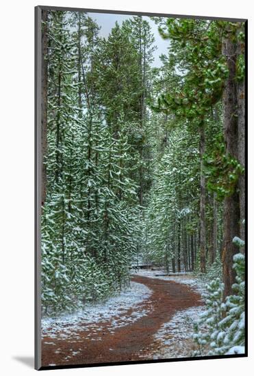 Mountain Trail Yellowstone-Steve Gadomski-Mounted Photographic Print