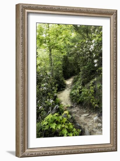 Mountain Trail-Danny Head-Framed Art Print