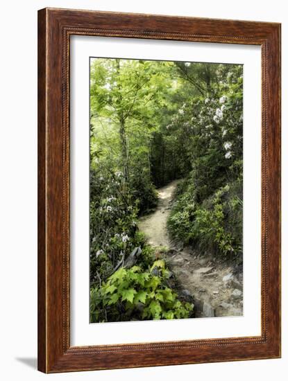 Mountain Trail-Danny Head-Framed Art Print