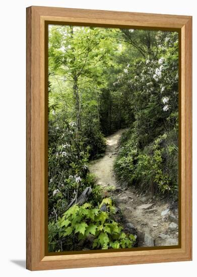 Mountain Trail-Danny Head-Framed Stretched Canvas