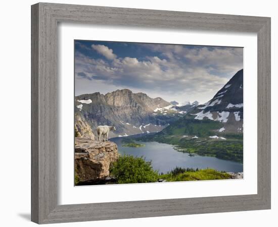 Mountain View and Hidden Lake Along Hidden Lake Trail, Glacier National Park, Montana-Ian Shive-Framed Photographic Print