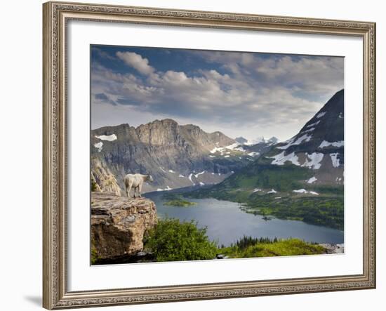 Mountain View and Hidden Lake Along Hidden Lake Trail, Glacier National Park, Montana-Ian Shive-Framed Photographic Print