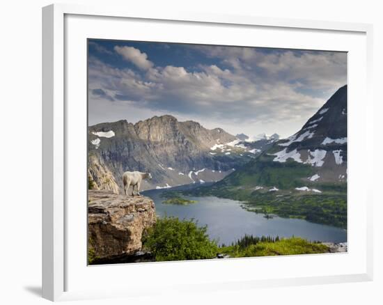 Mountain View and Hidden Lake Along Hidden Lake Trail, Glacier National Park, Montana-Ian Shive-Framed Photographic Print