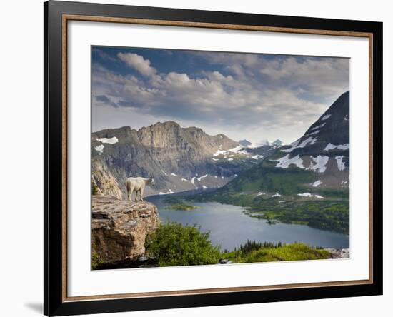 Mountain View and Hidden Lake Along Hidden Lake Trail, Glacier National Park, Montana-Ian Shive-Framed Photographic Print