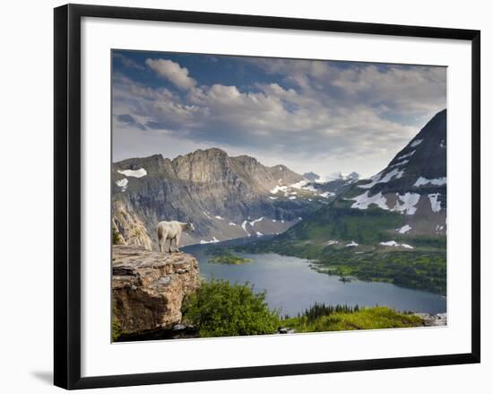 Mountain View and Hidden Lake Along Hidden Lake Trail, Glacier National Park, Montana-Ian Shive-Framed Photographic Print